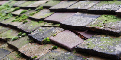 Llanfihangel Yn Nhywyn roof repair costs